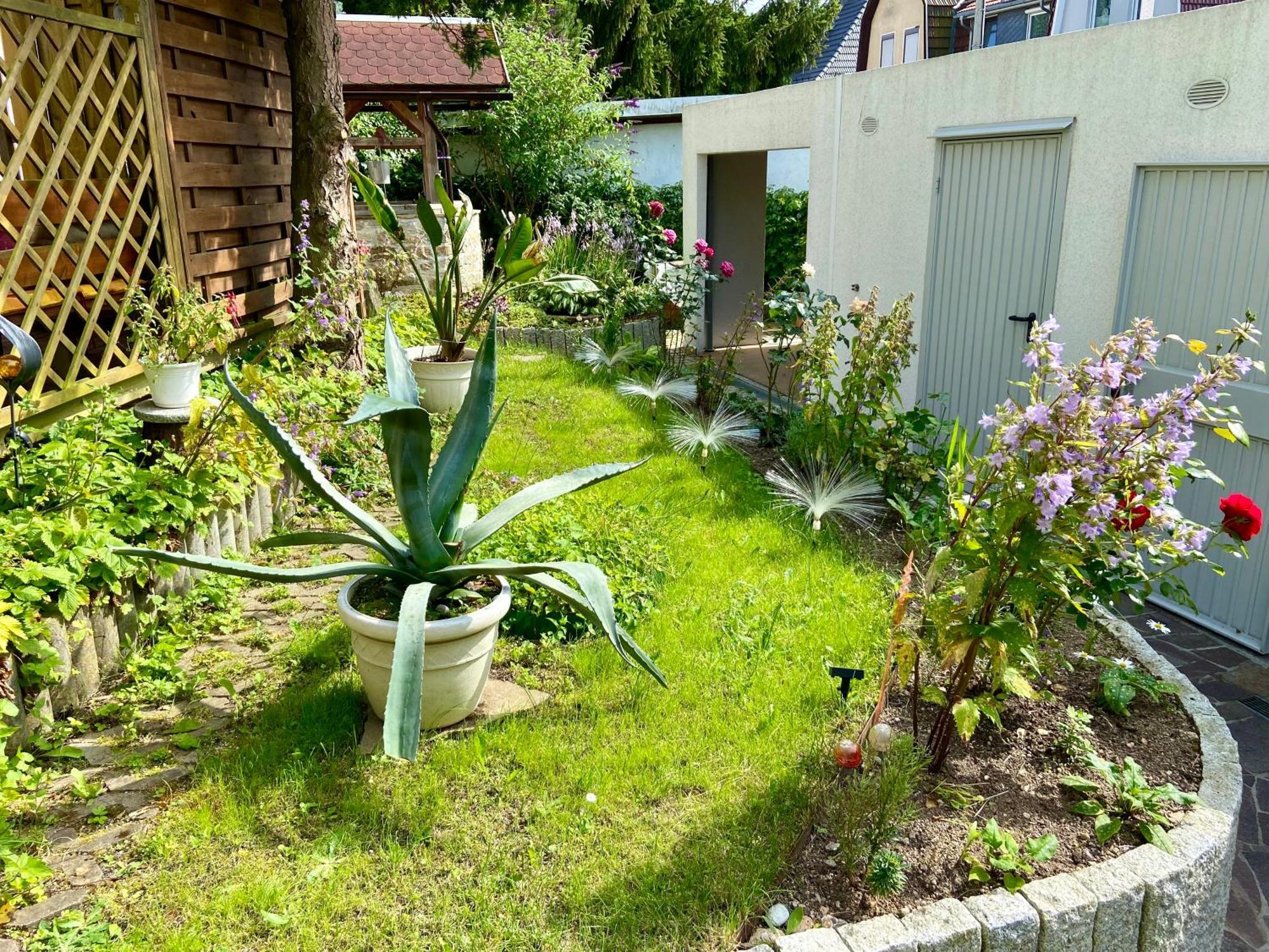 Regenbergblick Apartment Zella-Mehlis Bagian luar foto